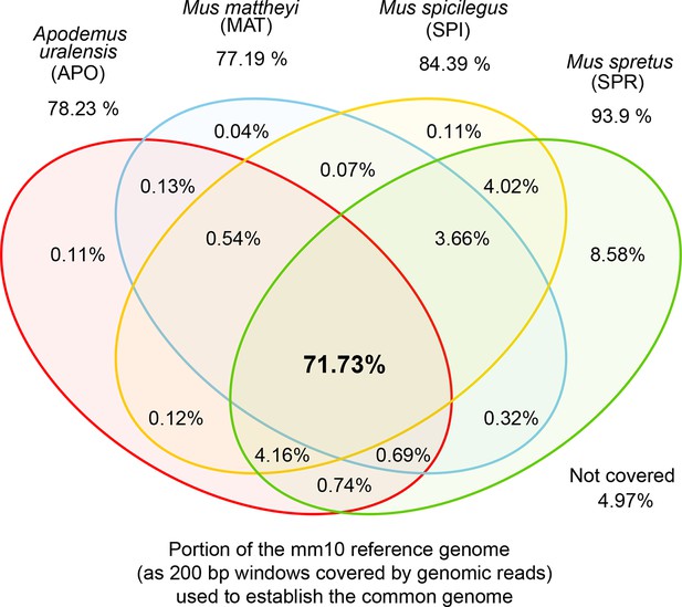 Figures and data in Fast turnover of genome transcription across ...