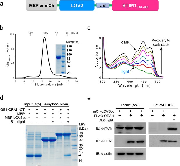 Figures And Data In Near-infrared Photoactivatable Control Of Ca2 