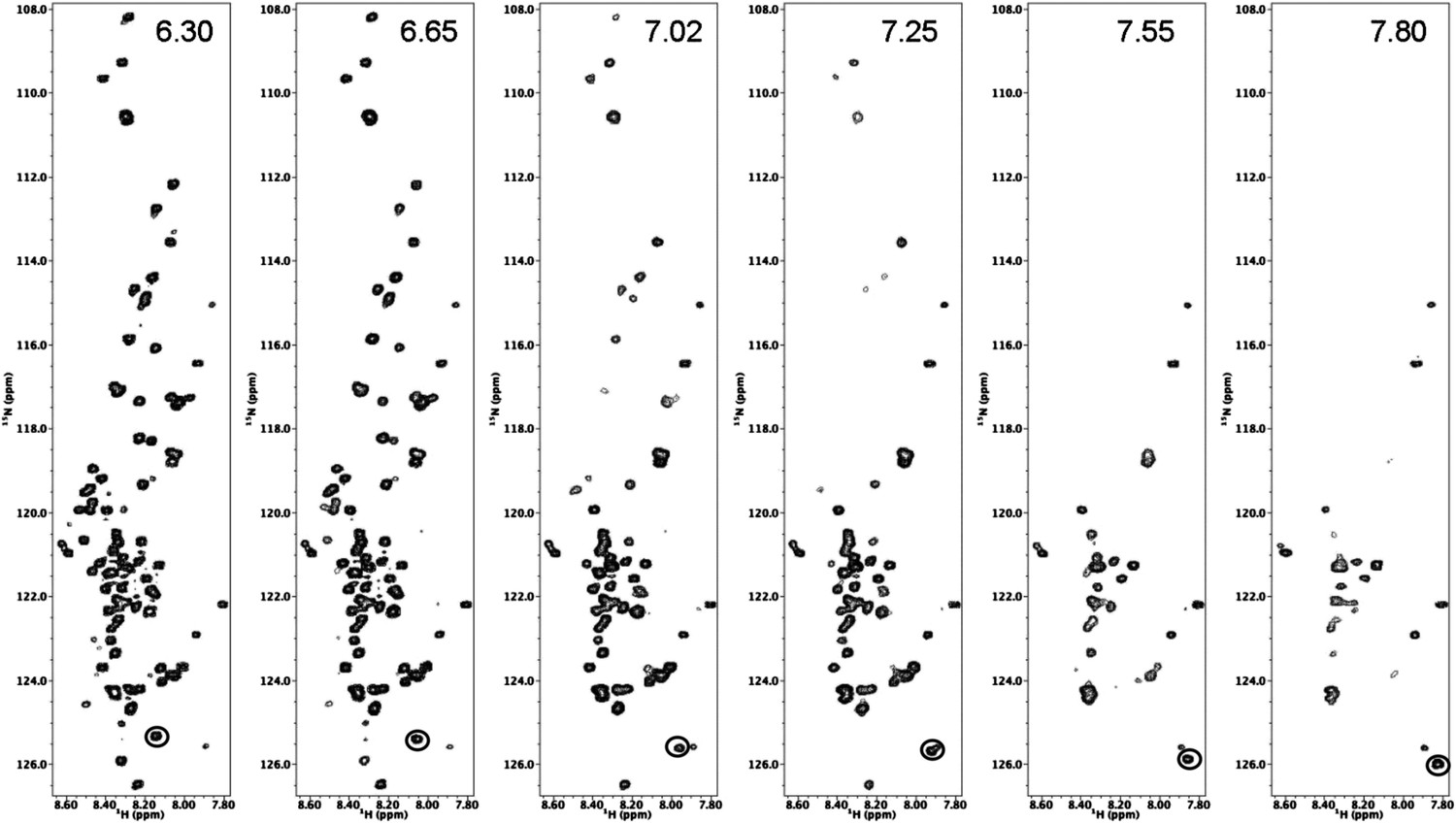 Figures and data in The molecular mechanism of nuclear transport ...