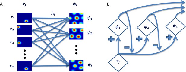 Extracting grid cell characteristics from place cell inputs using non ...