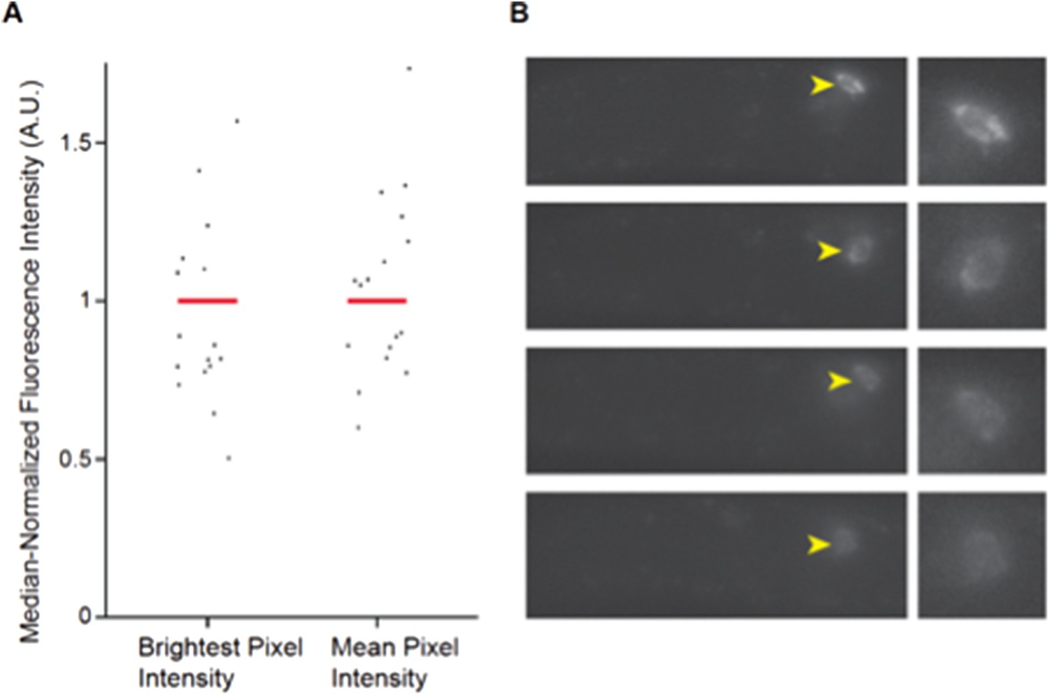 Peer review in Feeding state-dependent regulation of developmental ...