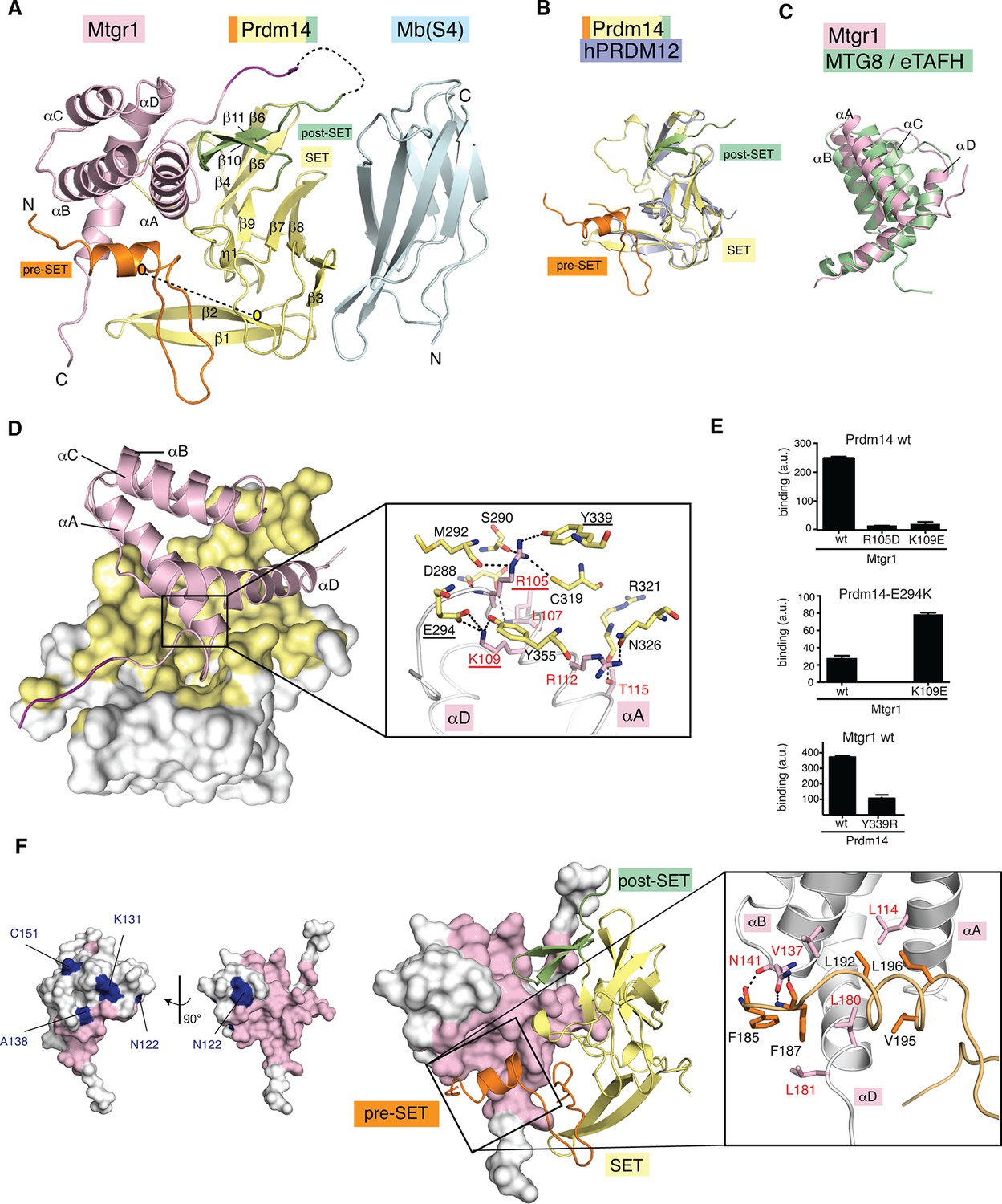 ETO family protein Mtgr1 mediates Prdm14 functions in stem cell ...