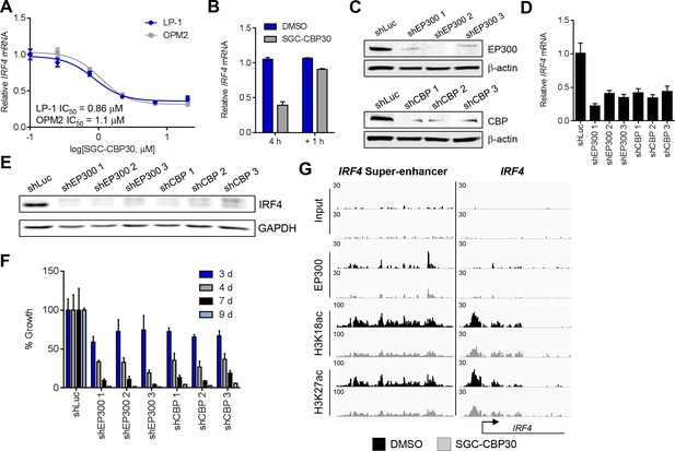 Bromodomain inhibition of the transcriptional coactivators CBP/EP300 as ...