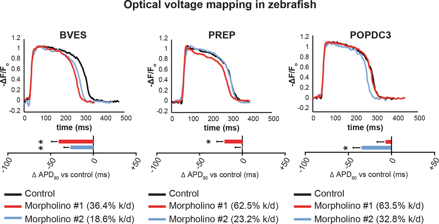Figures and data in discovery and validation of sub threshold genome