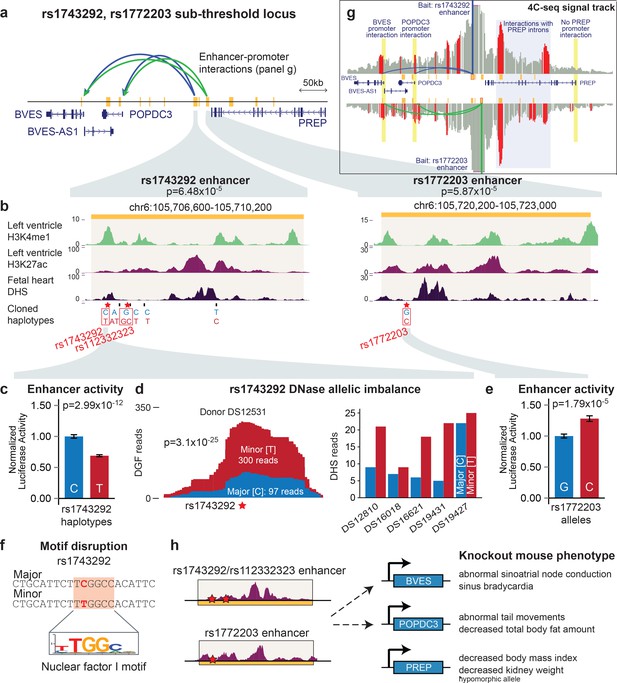 Discovery and validation of subthreshold genomewide association study