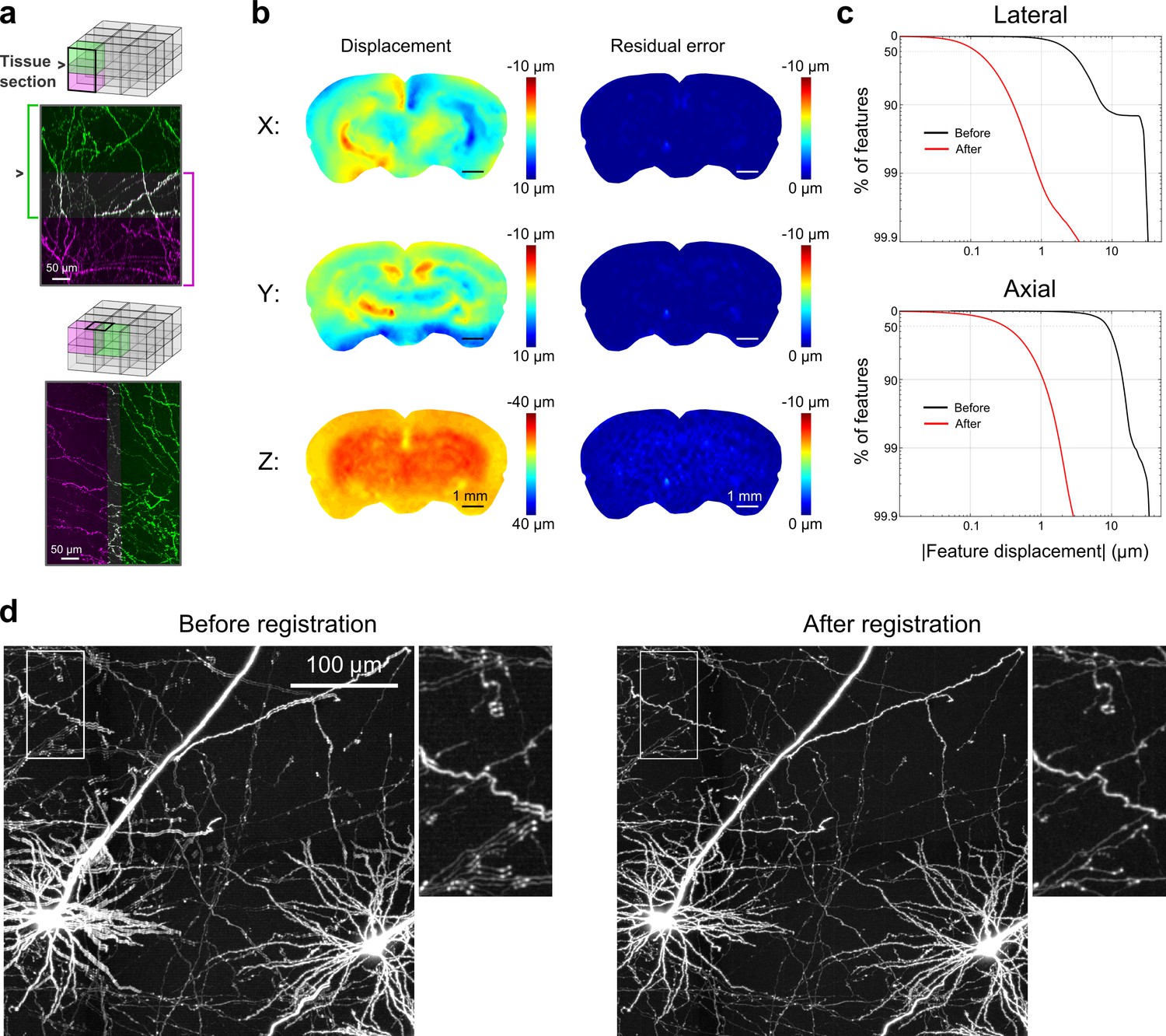 A platform for brain-wide imaging and reconstruction of individual ...