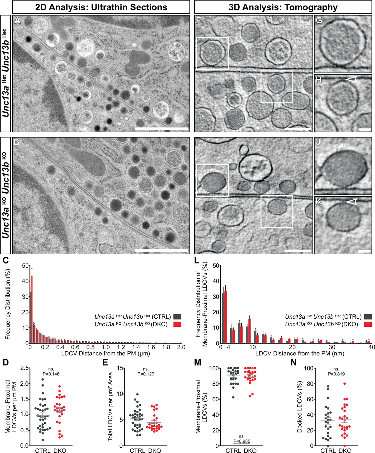 Identification of a Munc13-sensitive step in chromaffin cell large 