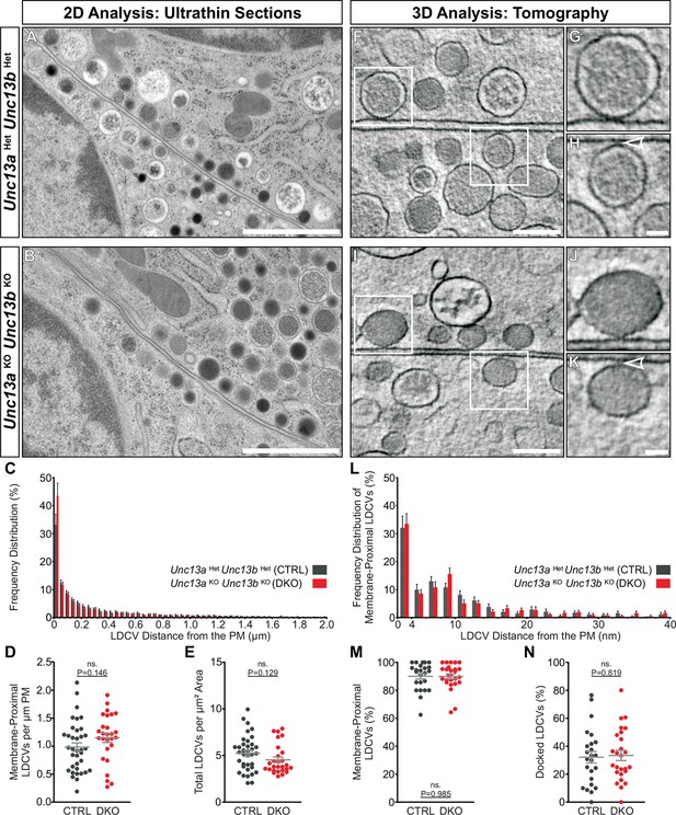 Identification of a Munc13-sensitive step in chromaffin cell large ...