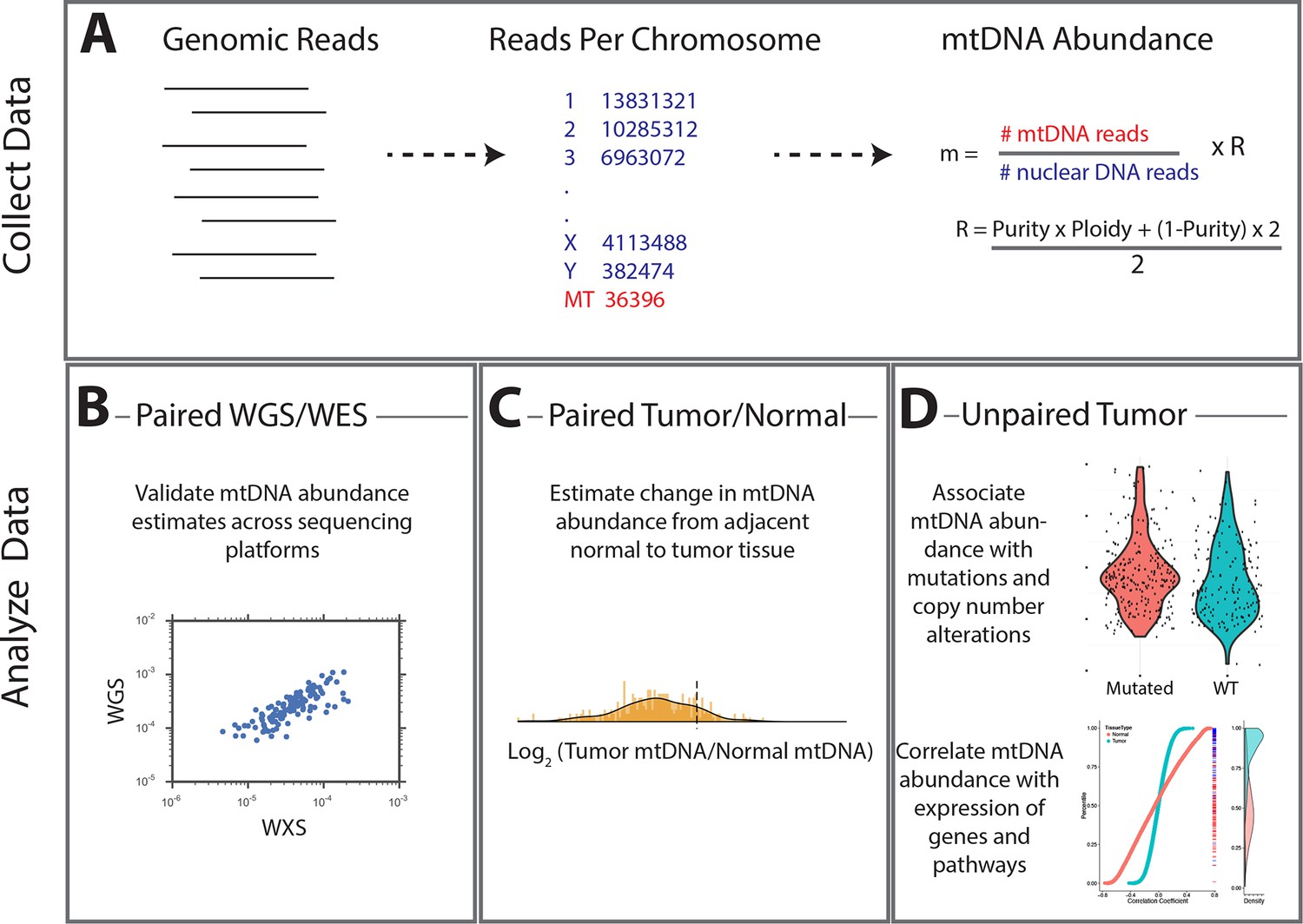 Figures And Data In Mitochondrial DNA Copy Number Variation Across ...