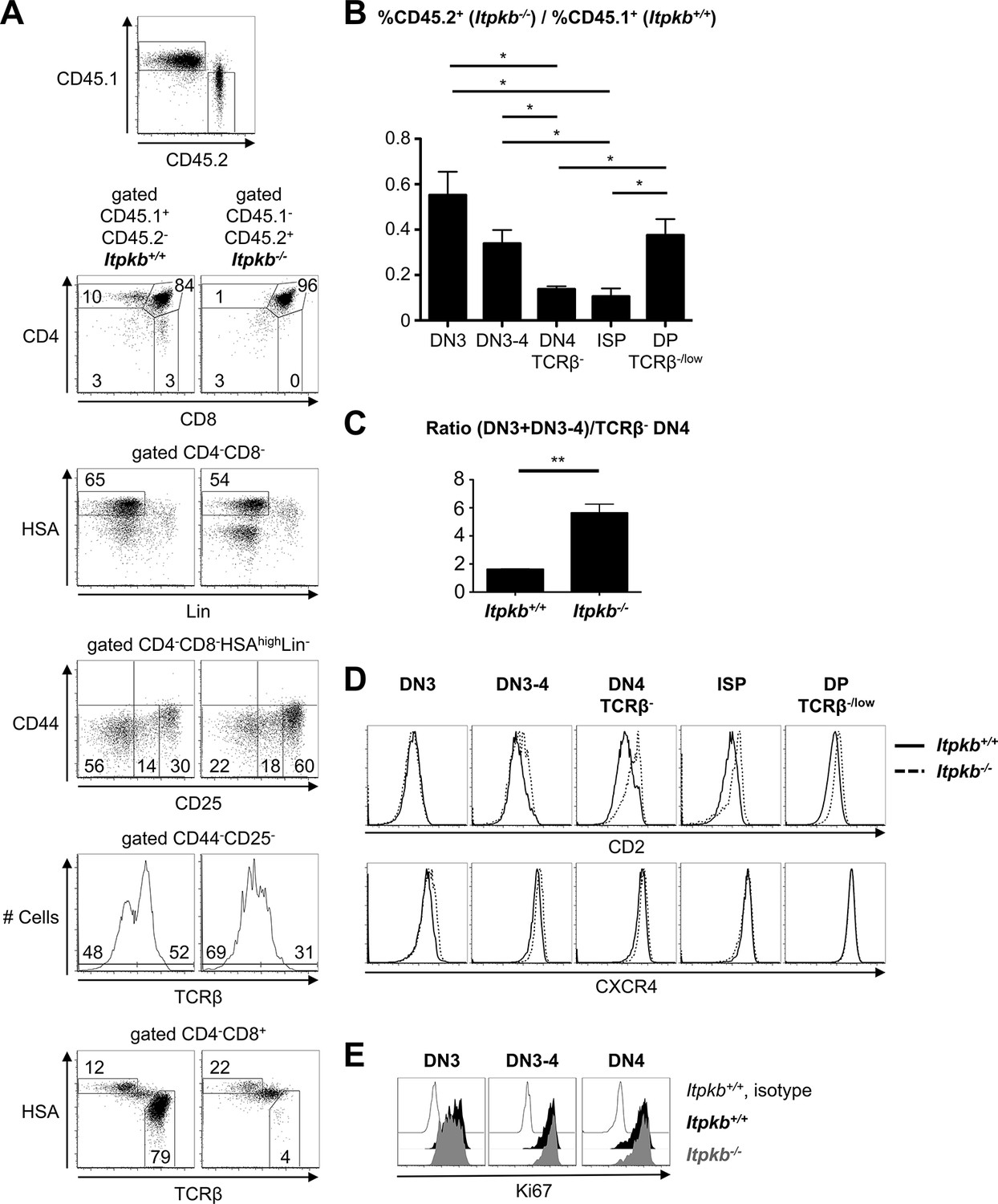 Non-canonical antagonism of PI3K by the kinase Itpkb delays thymocyte β ...