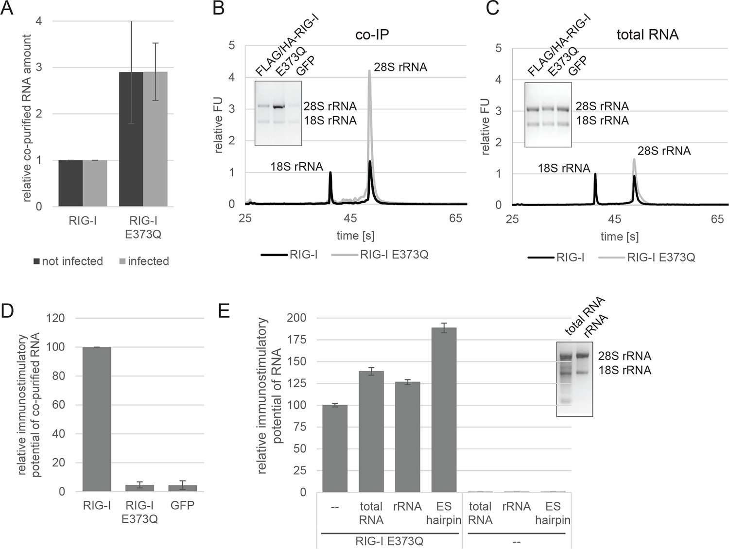 Interspecies Jumping of Bat Coronaviruses