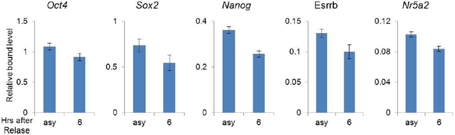 Peer review in Aurkb/PP1-mediated resetting of Oct4 during the cell ...