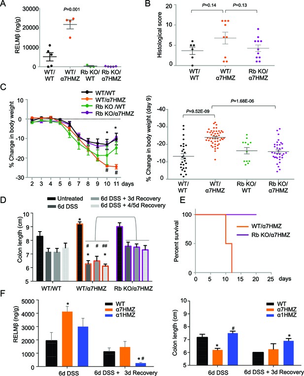 Figures and data in Opposing roles of nuclear receptor HNF4α isoforms ...