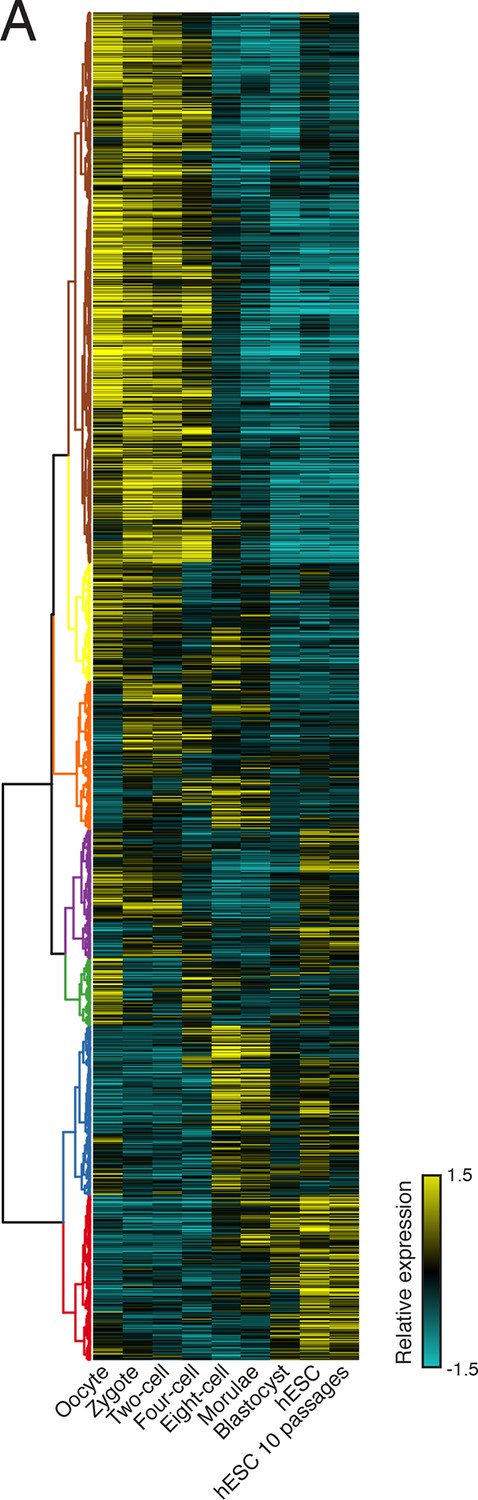 Figures And Data In Tunable Protein Synthesis By Transcript Isoforms In