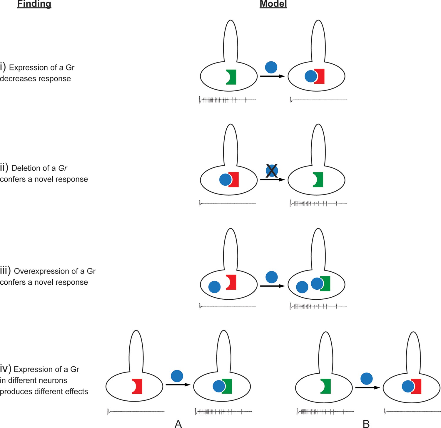 Figures and data in Bitter taste receptors confer diverse