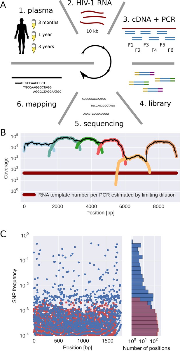 Figures And Data In Population Genomics Of Intrapatient HIV-1 Evolution ...