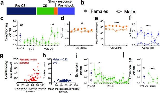 Sexually Divergent Expression Of Active And Passive Conditioned Fear