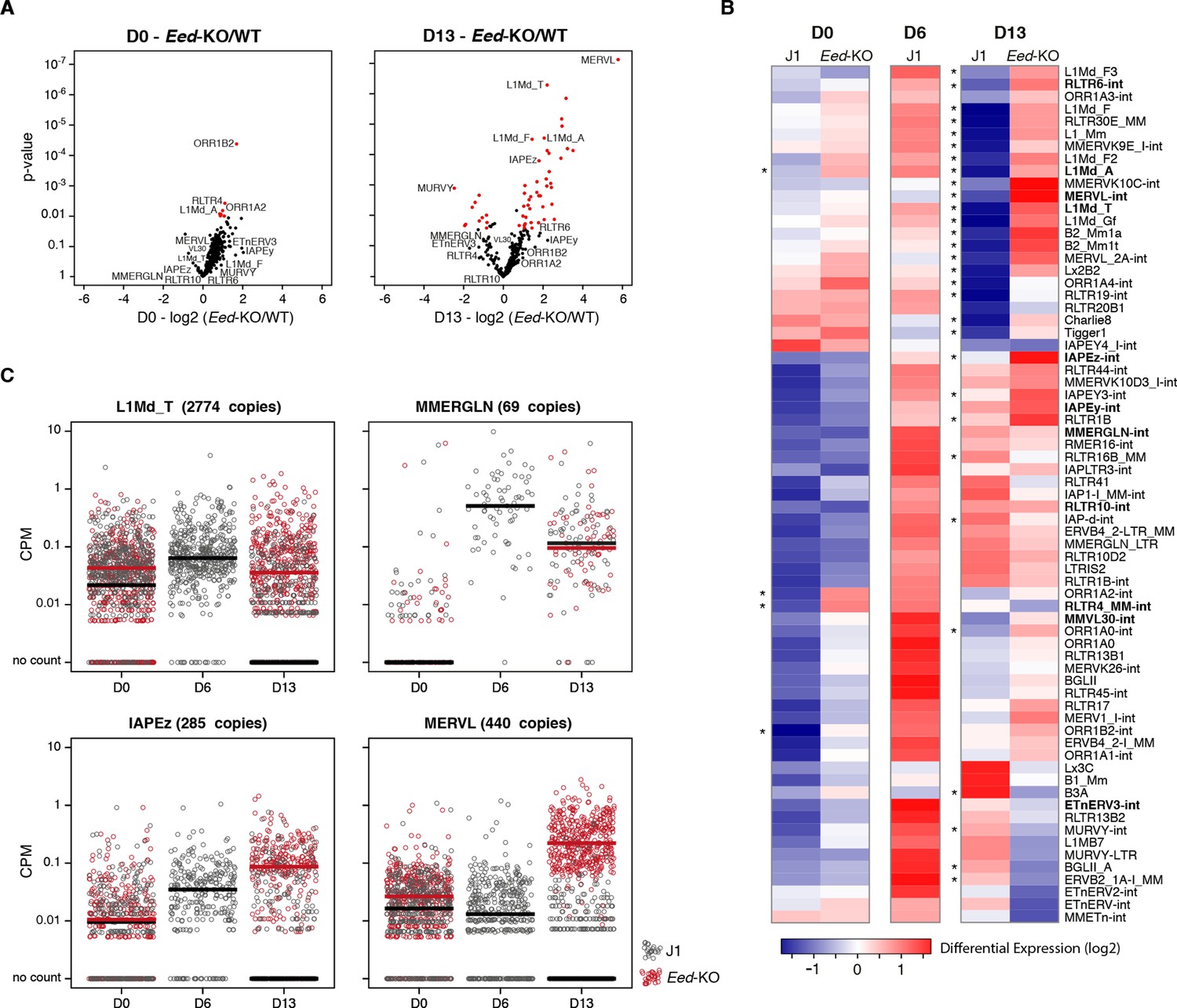 An Epigenetic Switch Ensures Transposon Repression Upon Dynamic Loss Of 