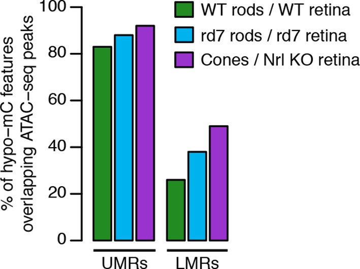 Figures and data in epigenomic landscapes of retinal rods and cones elife