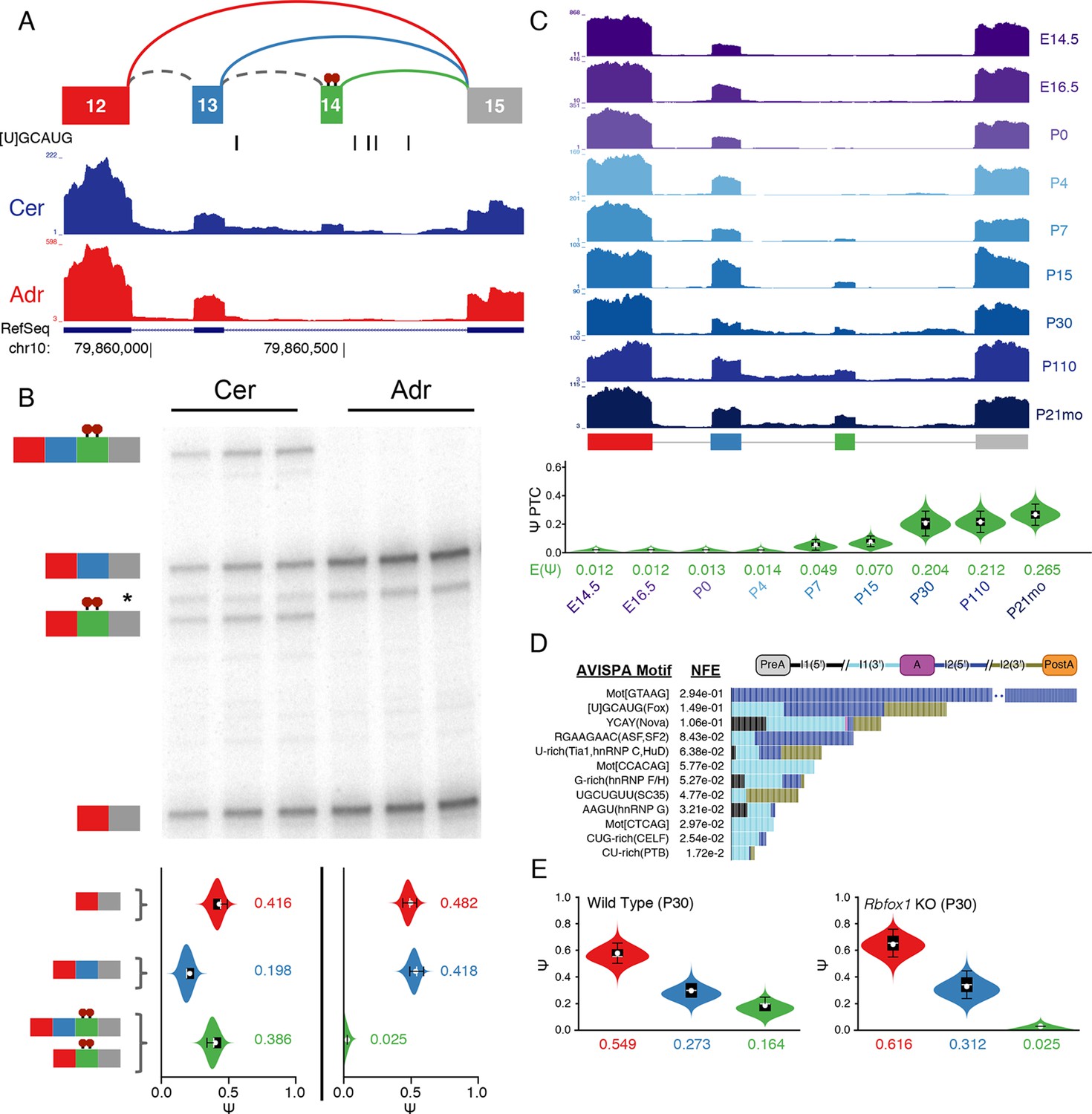 え Advances in strategies to improve the immunotherapeutic