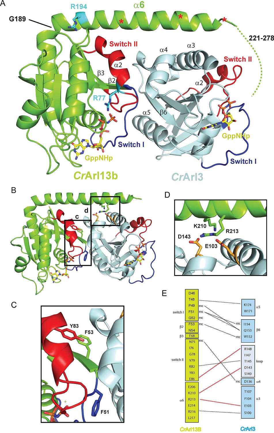 Figures And Data In A G Protein Activation Cascade From Arl13B To Arl3