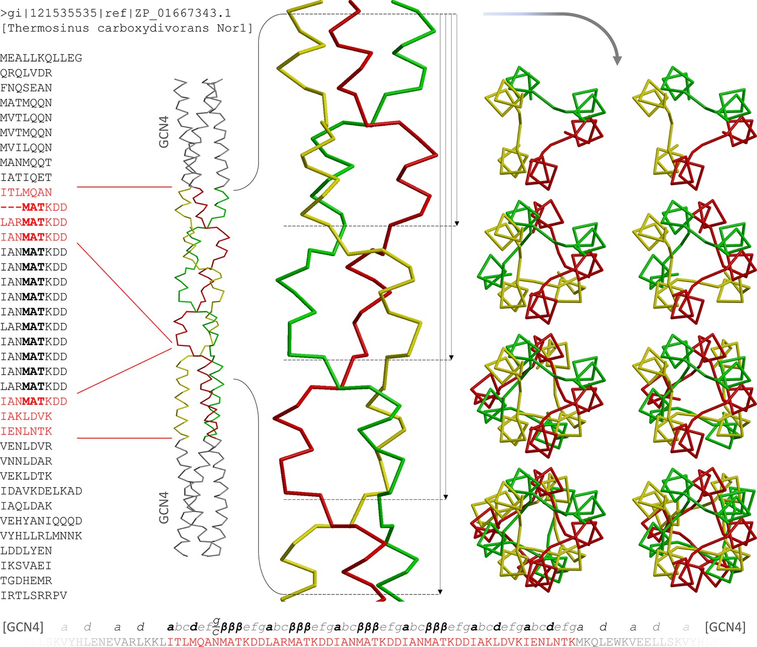 Figures and data in α β coiled coils eLife