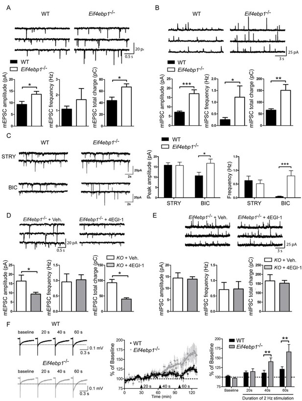 Translational control of nociception via 4E-binding protein 1 | eLife