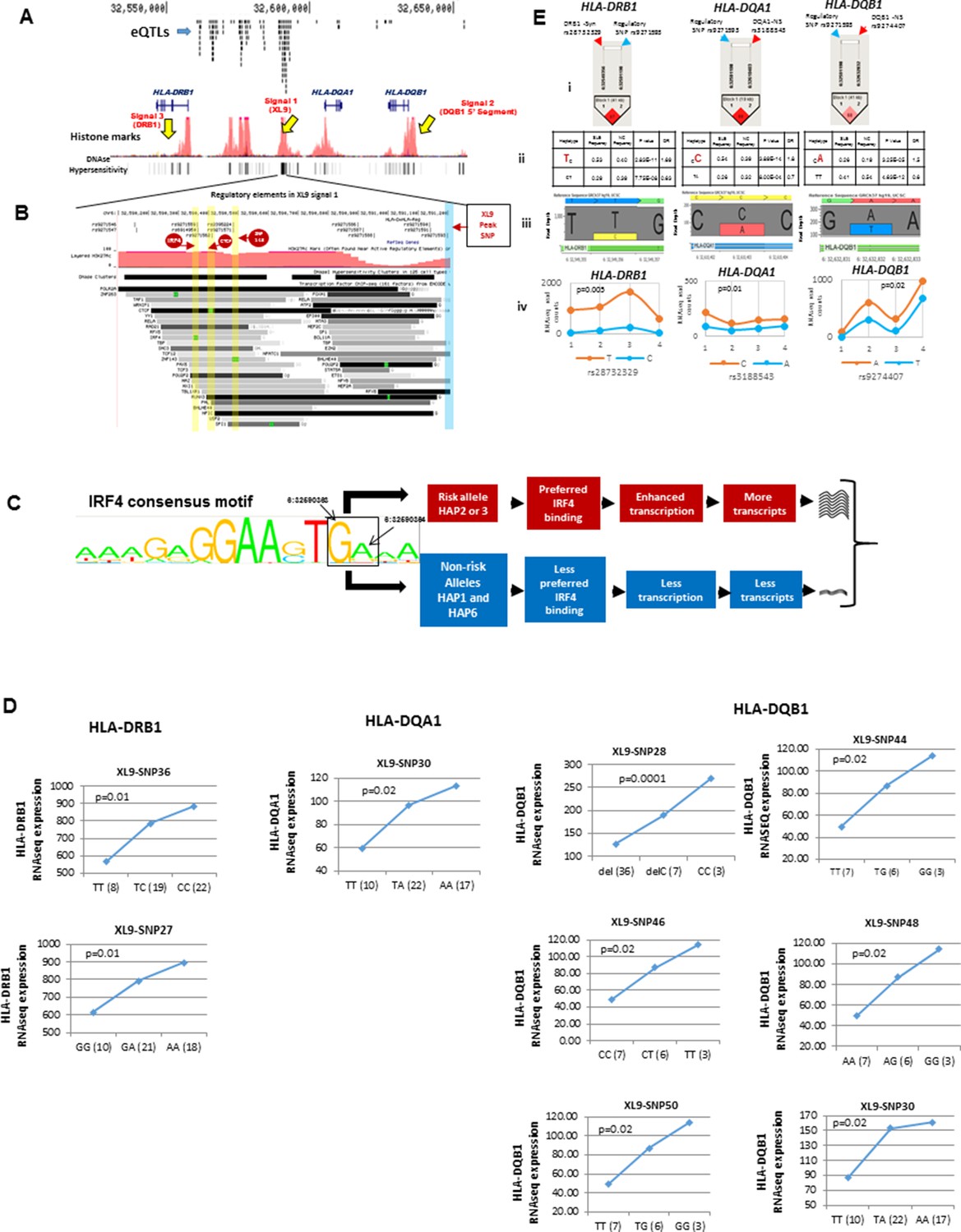 Signaling Transduction Network Elucidation of ACE 2 Regulating Apostichopus  japonicus Autolysis by Using Integrative TMT Proteomics and Transcriptomics  | Journal of Agricultural and Food Chemistry
