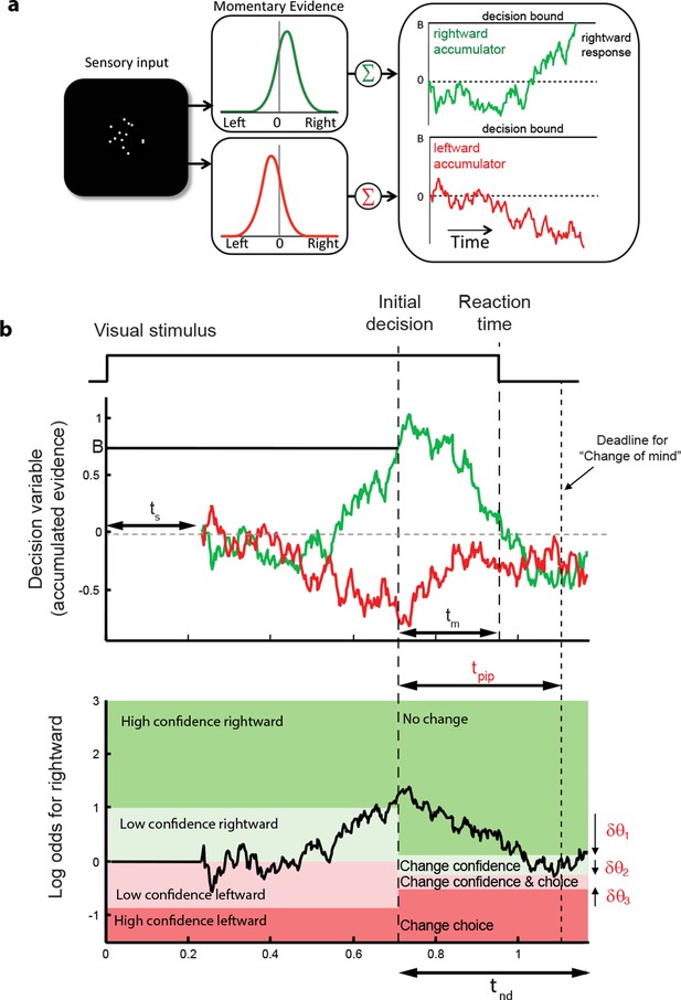 figures-and-data-in-a-common-mechanism-underlies-changes-of-mind-about