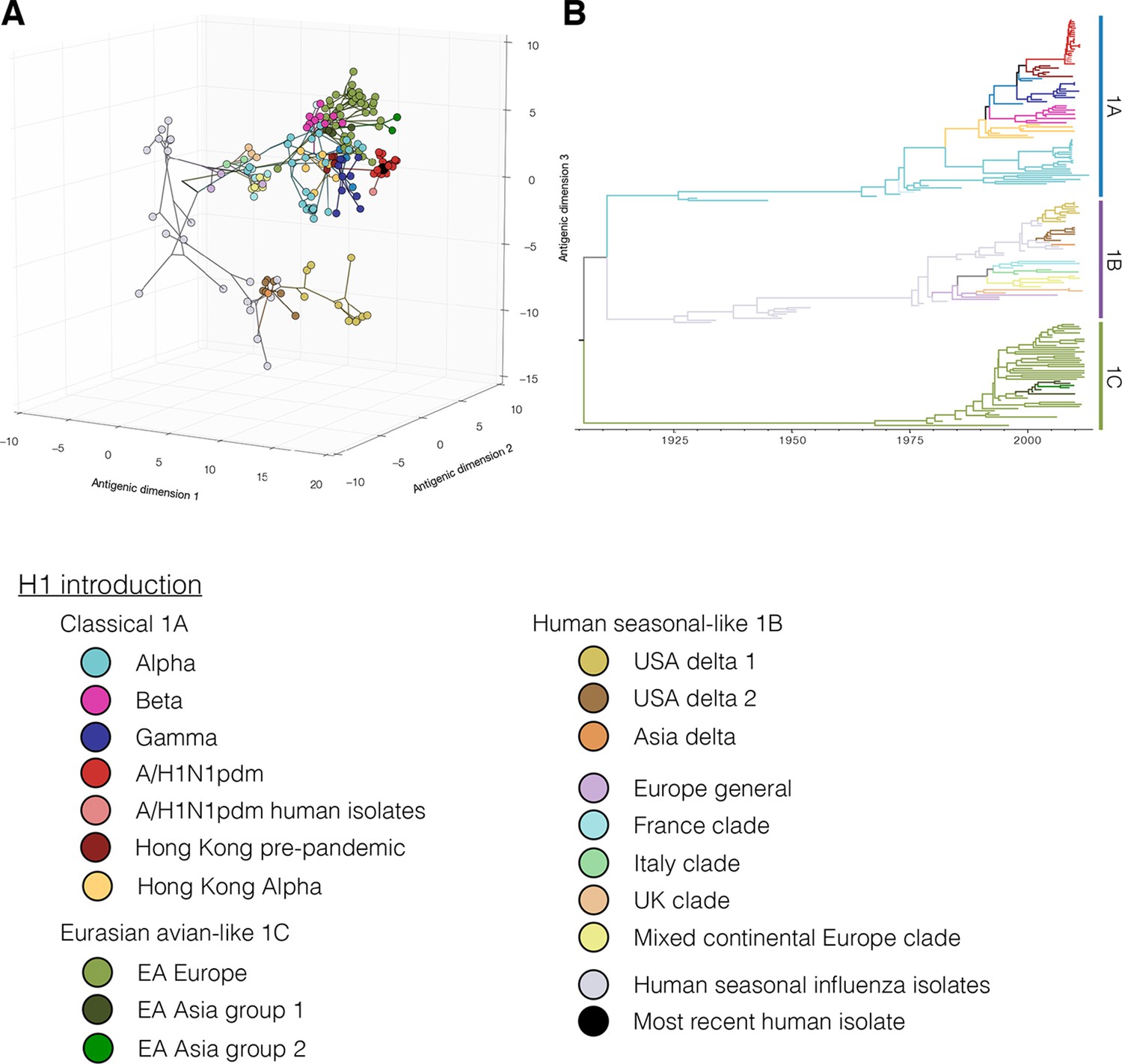 The global antigenic diversity of swine influenza A viruses eLife