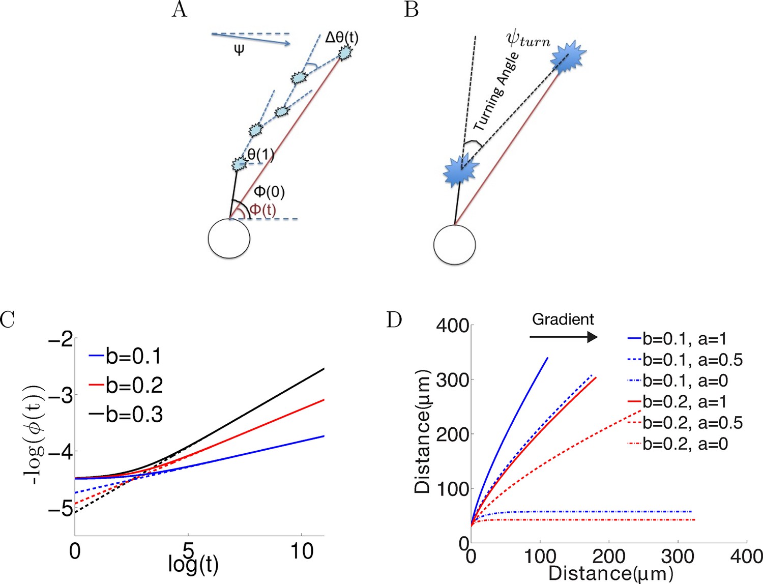 A mathematical model explains saturating axon guidance responses to ...