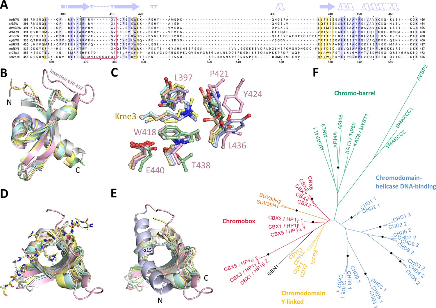 Figures And Data In Human Holliday Junction Resolvase Gen1 Uses A Chromodomain For Efficient Dna