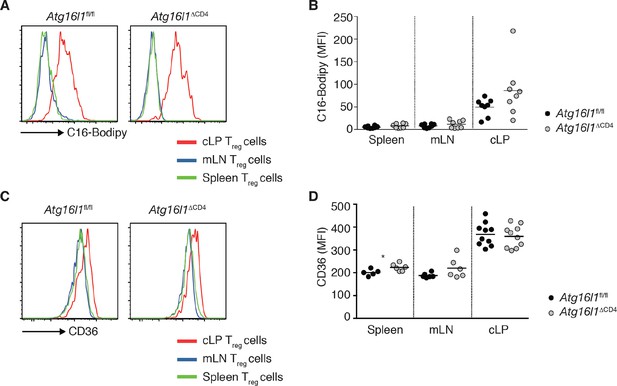 Figures and data in The autophagy gene Atg16l1 differentially regulates ...