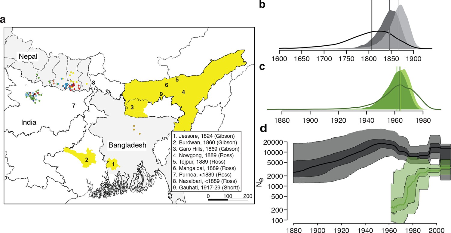 Evolutionary genomics of epidemic visceral leishmaniasis in the