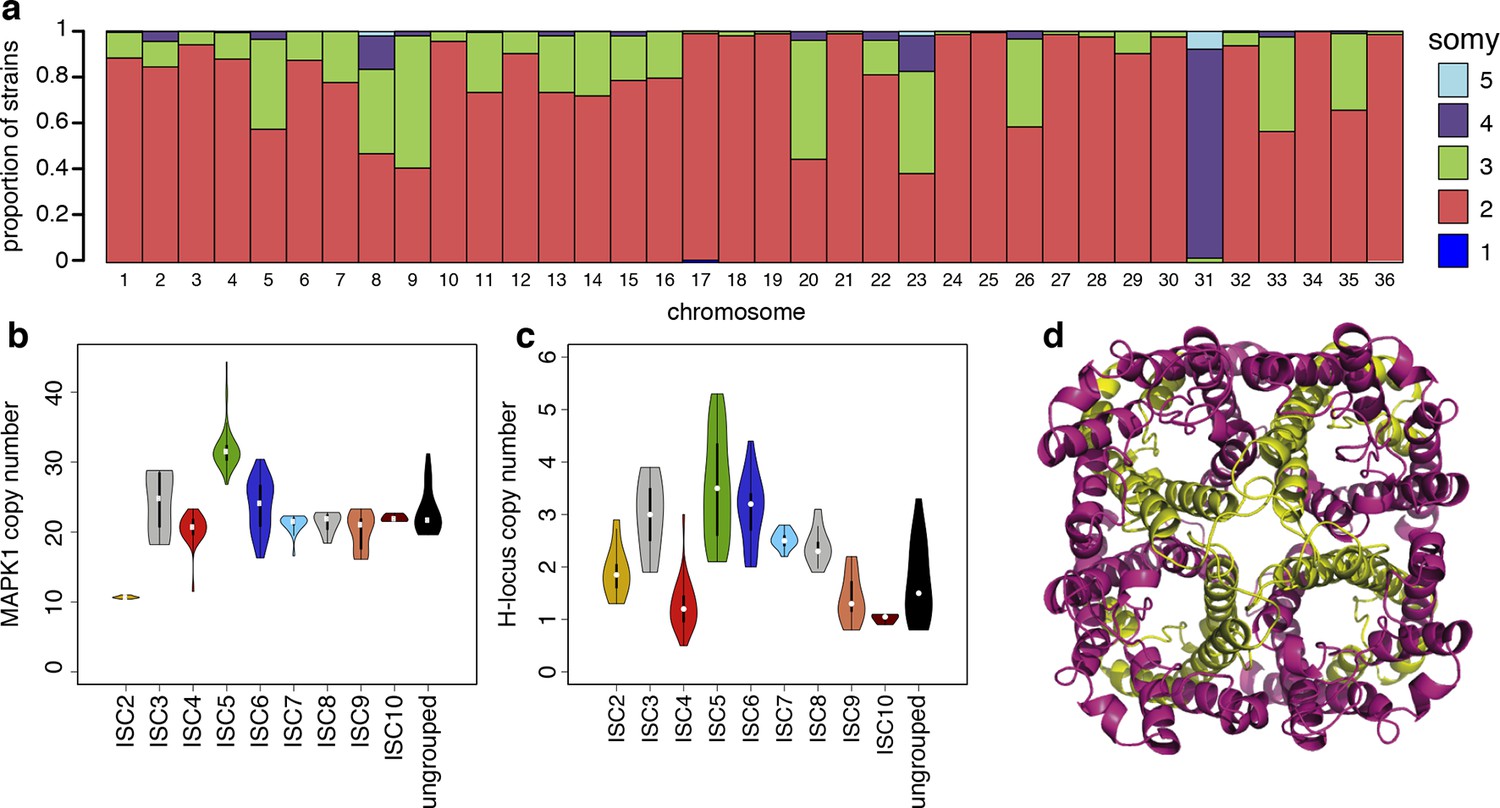 Evolutionary genomics of epidemic visceral leishmaniasis in the