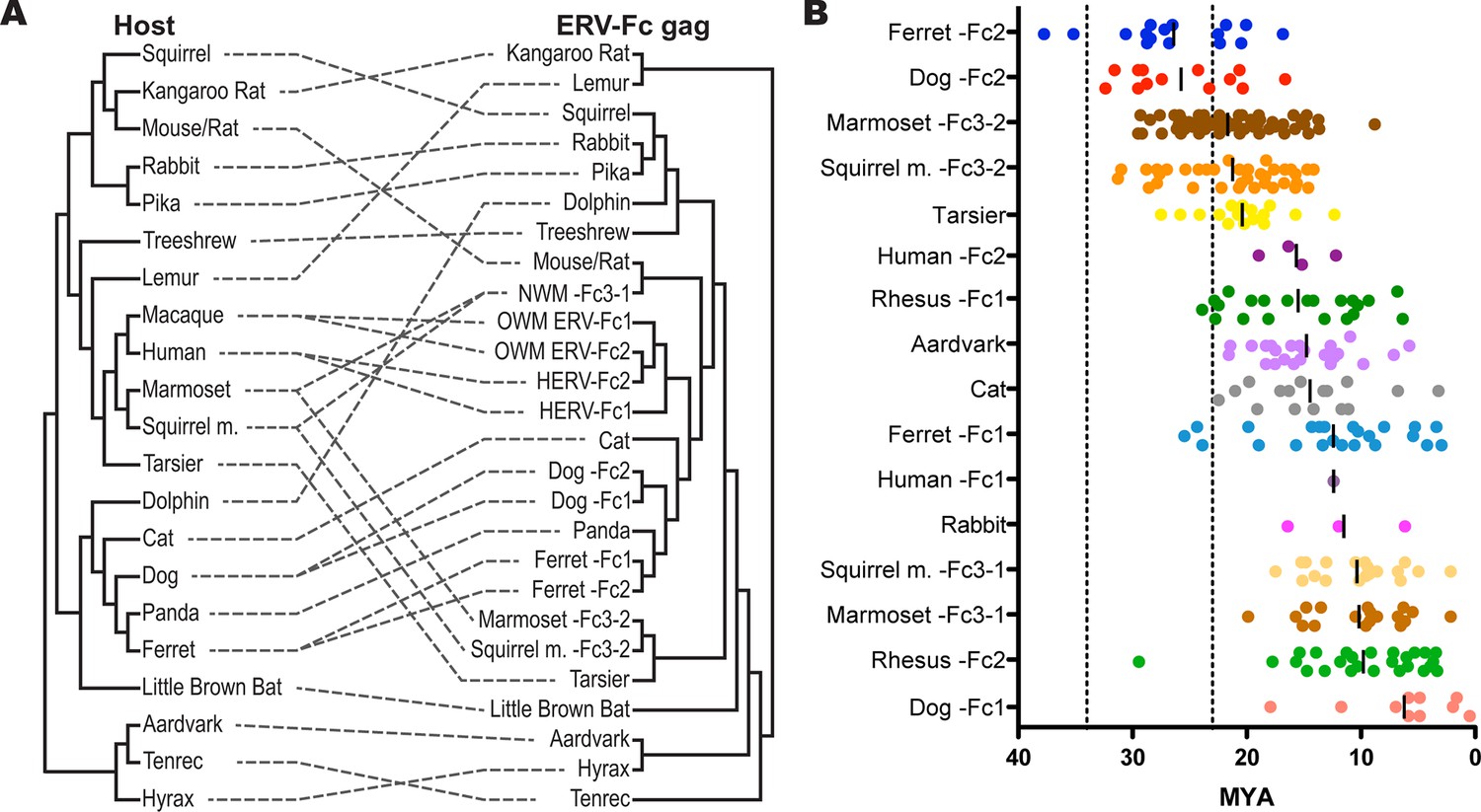 Tracking Interspecies Transmission And Long-term Evolution Of An ...