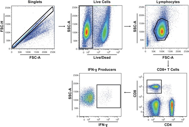 Figures and data in Elevation of CpG frequencies in influenza A genome ...