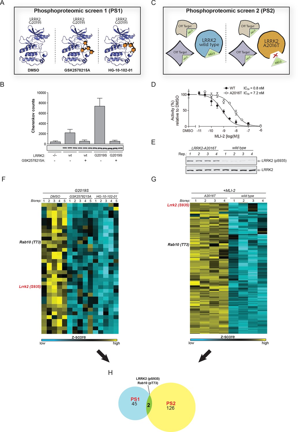 Phosphoproteomics Reveals That Parkinson's Disease Kinase LRRK2 ...