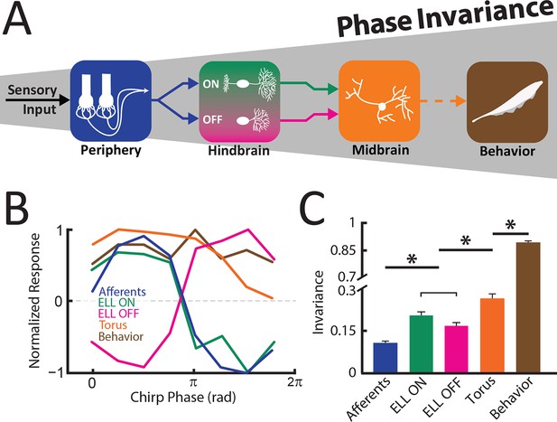 invariant visual representation by single neurons in the human brain