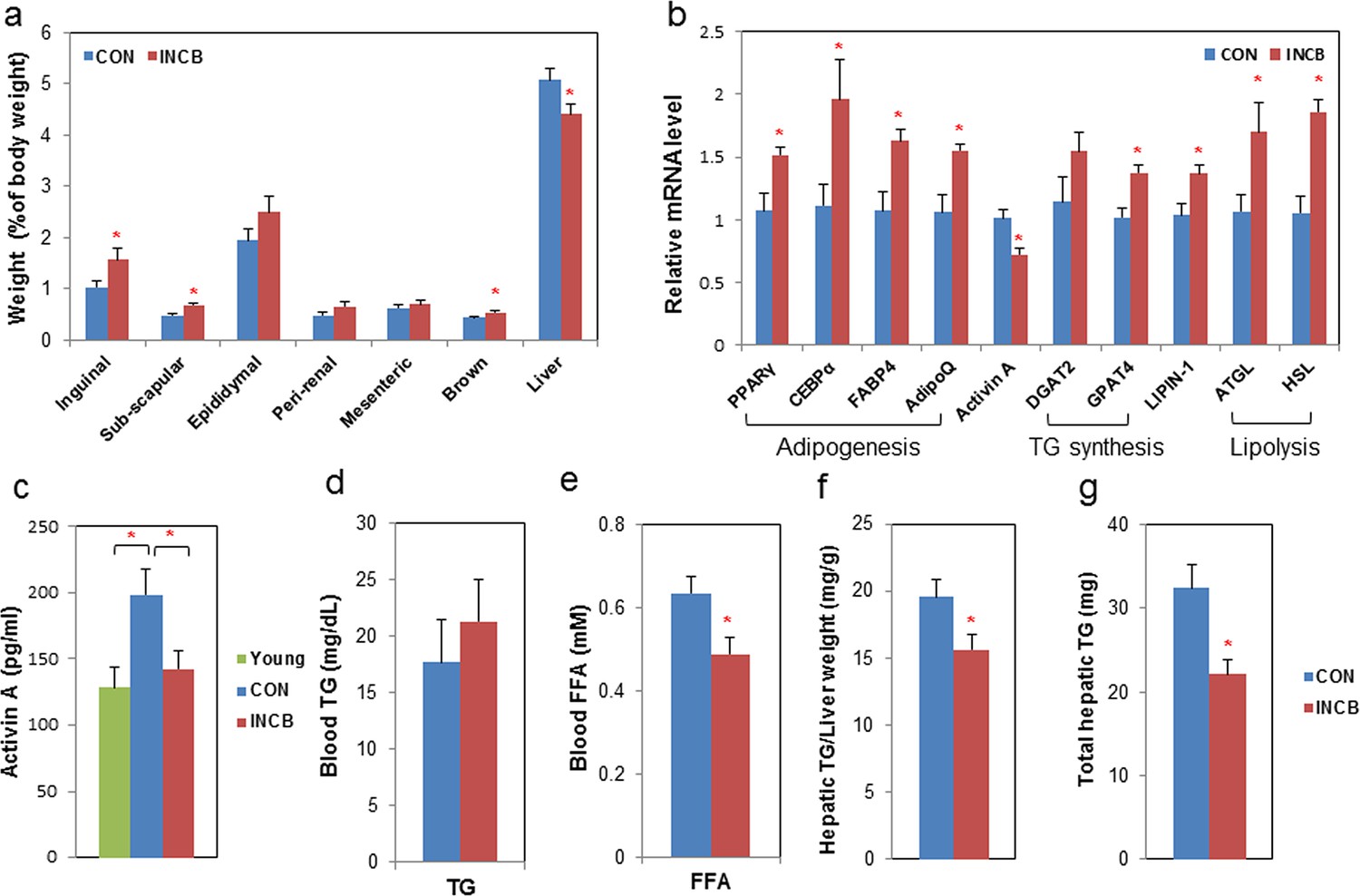 Figures and data in Targeting senescent cells enhances adipogenesis and ...