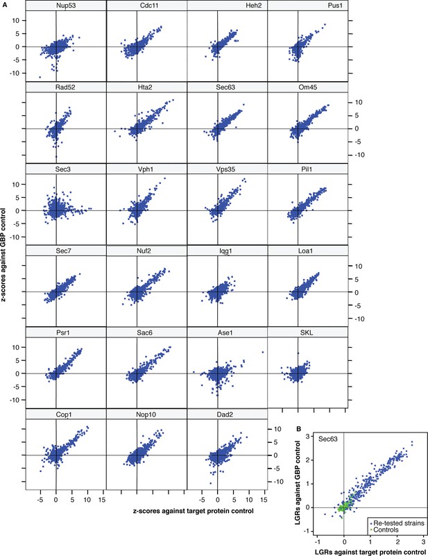 Figures and data in Synthetic protein interactions reveal a functional ...
