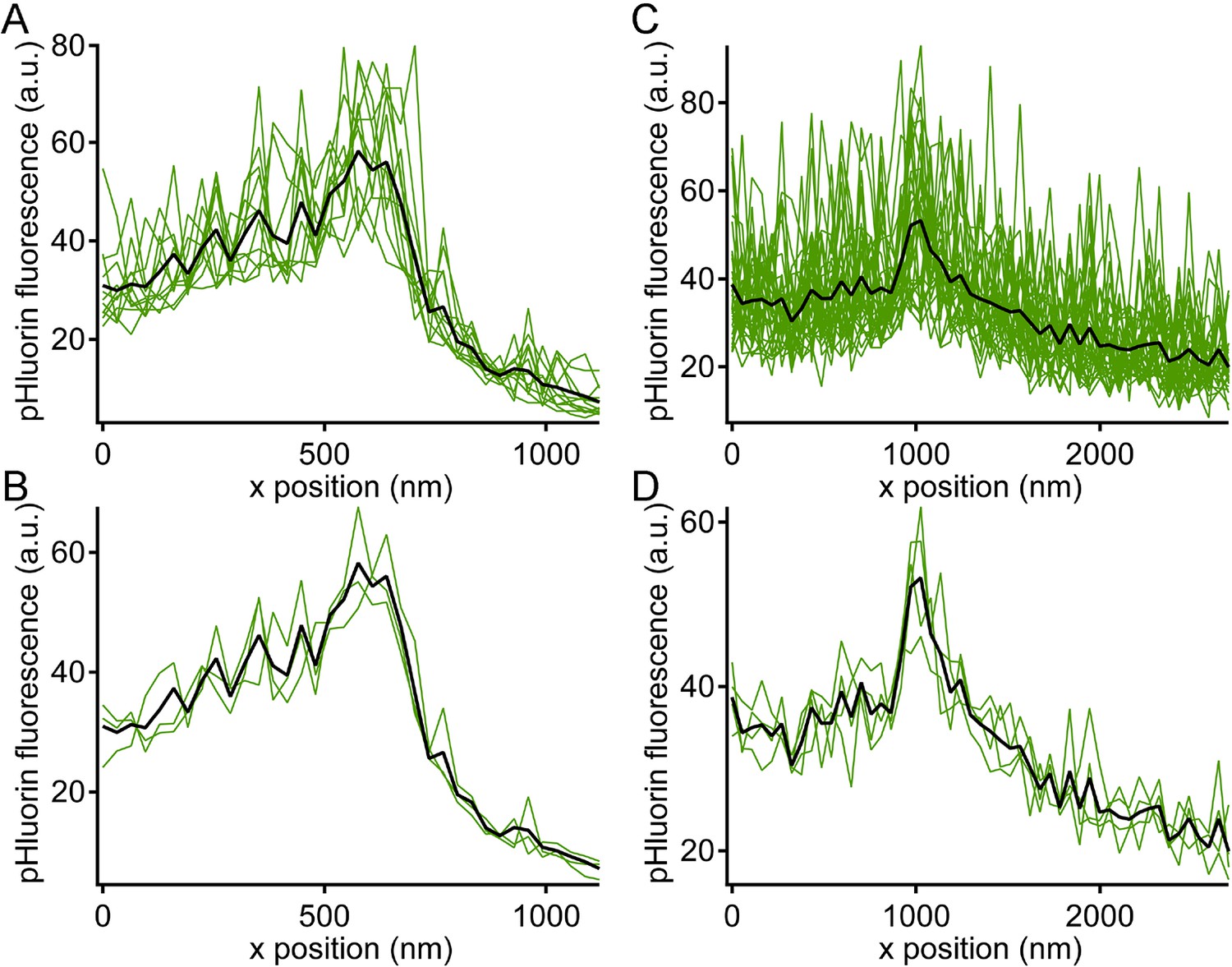 Figures And Data In Nanoscale Dynamics Of Synaptic Vesicle Trafficking ...