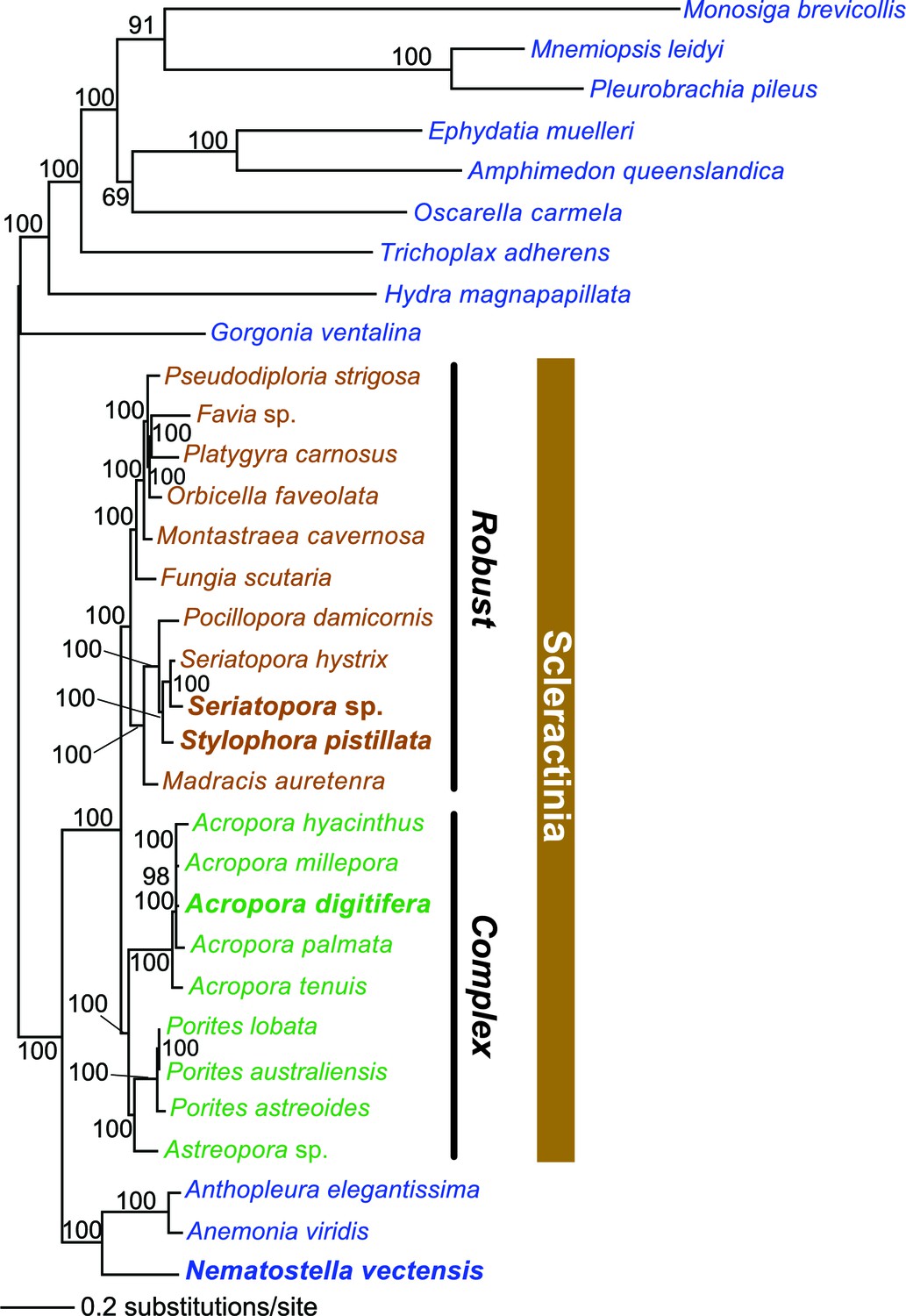 Figures And Data In Comparative Genomics Explains The Evolutionary ...