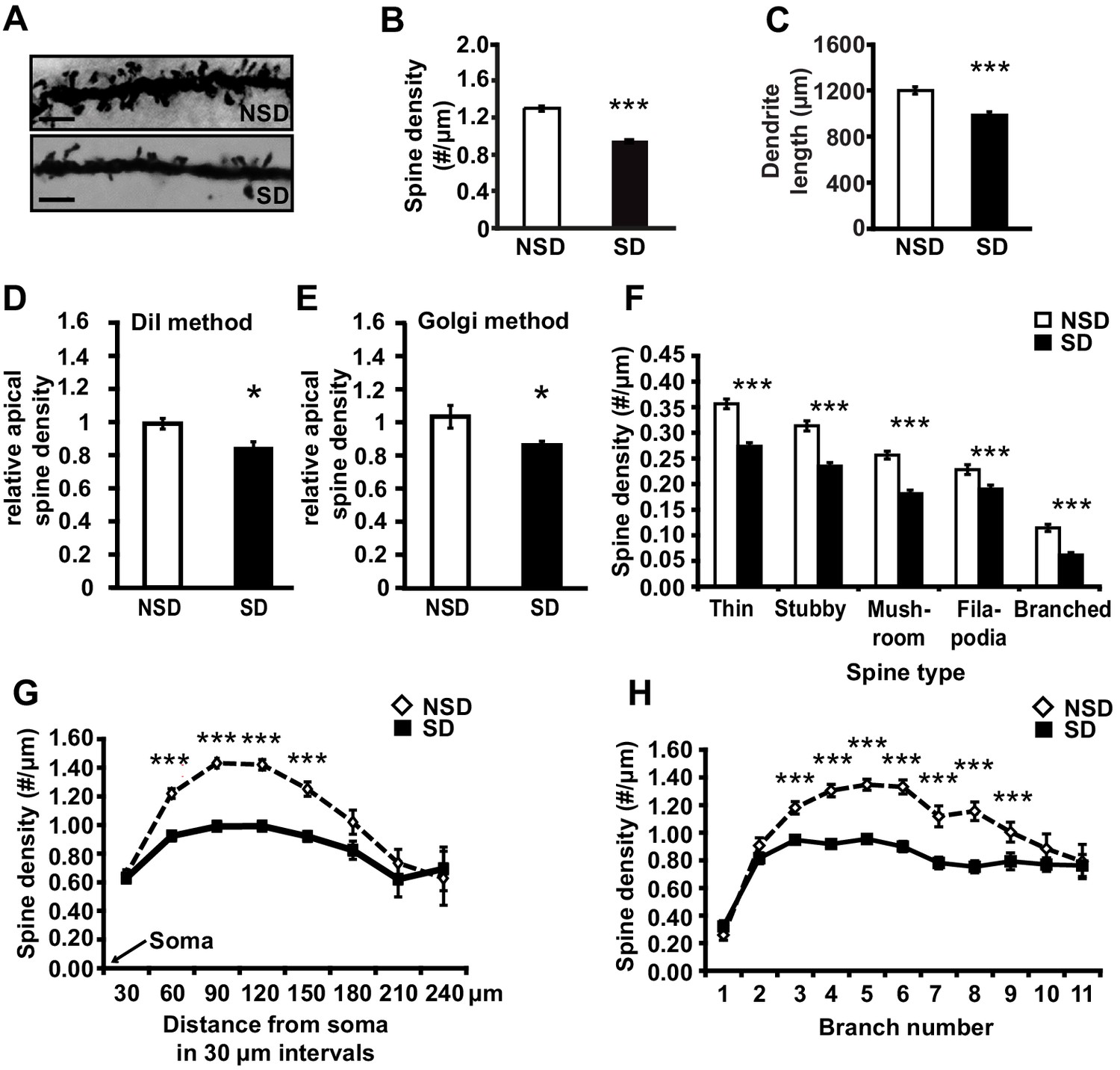 Sleep Deprivation Causes Memory Deficits By Negatively Impacting ...