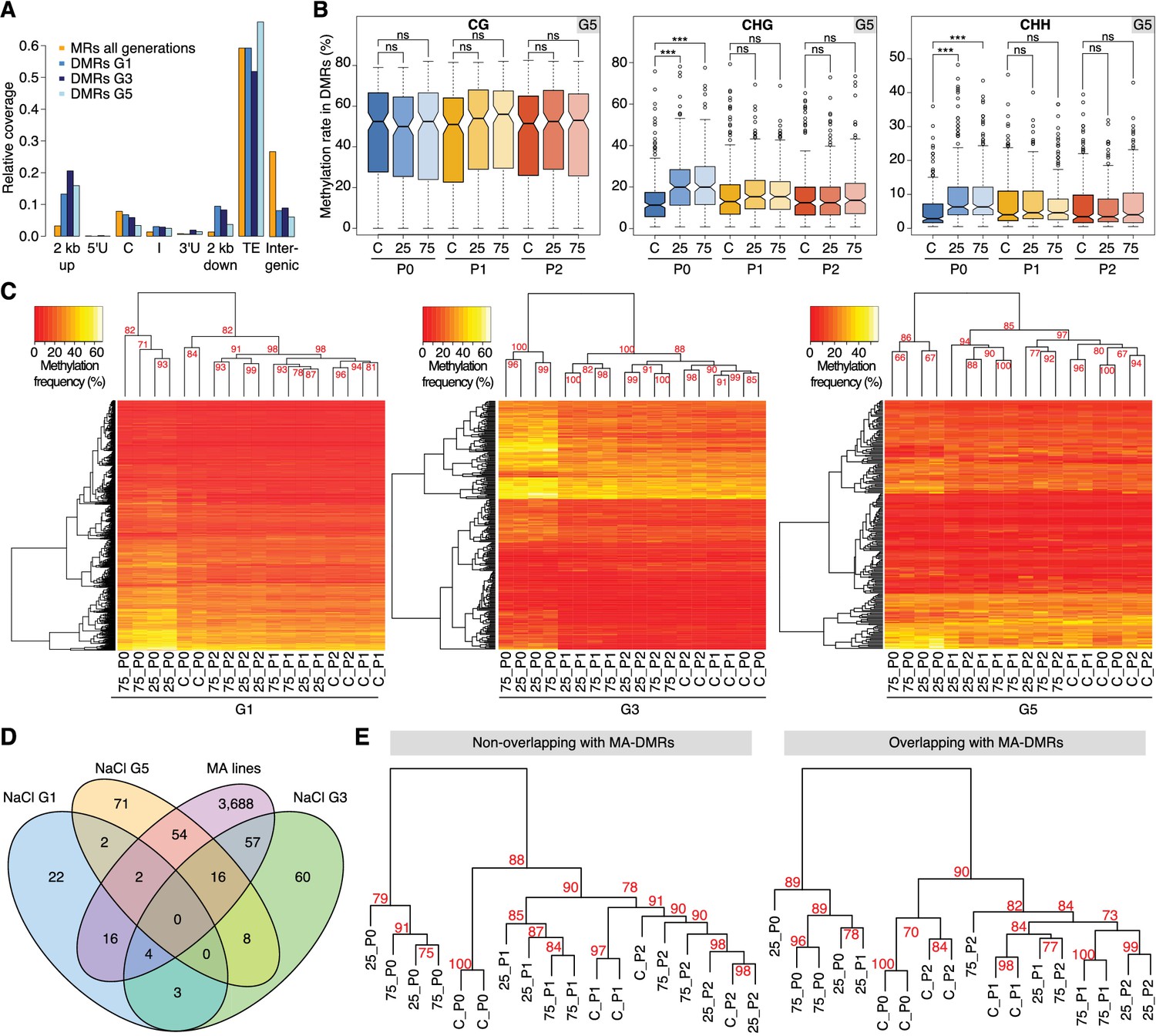 Figures and data in Hyperosmotic stress memory in Arabidopsis is ...