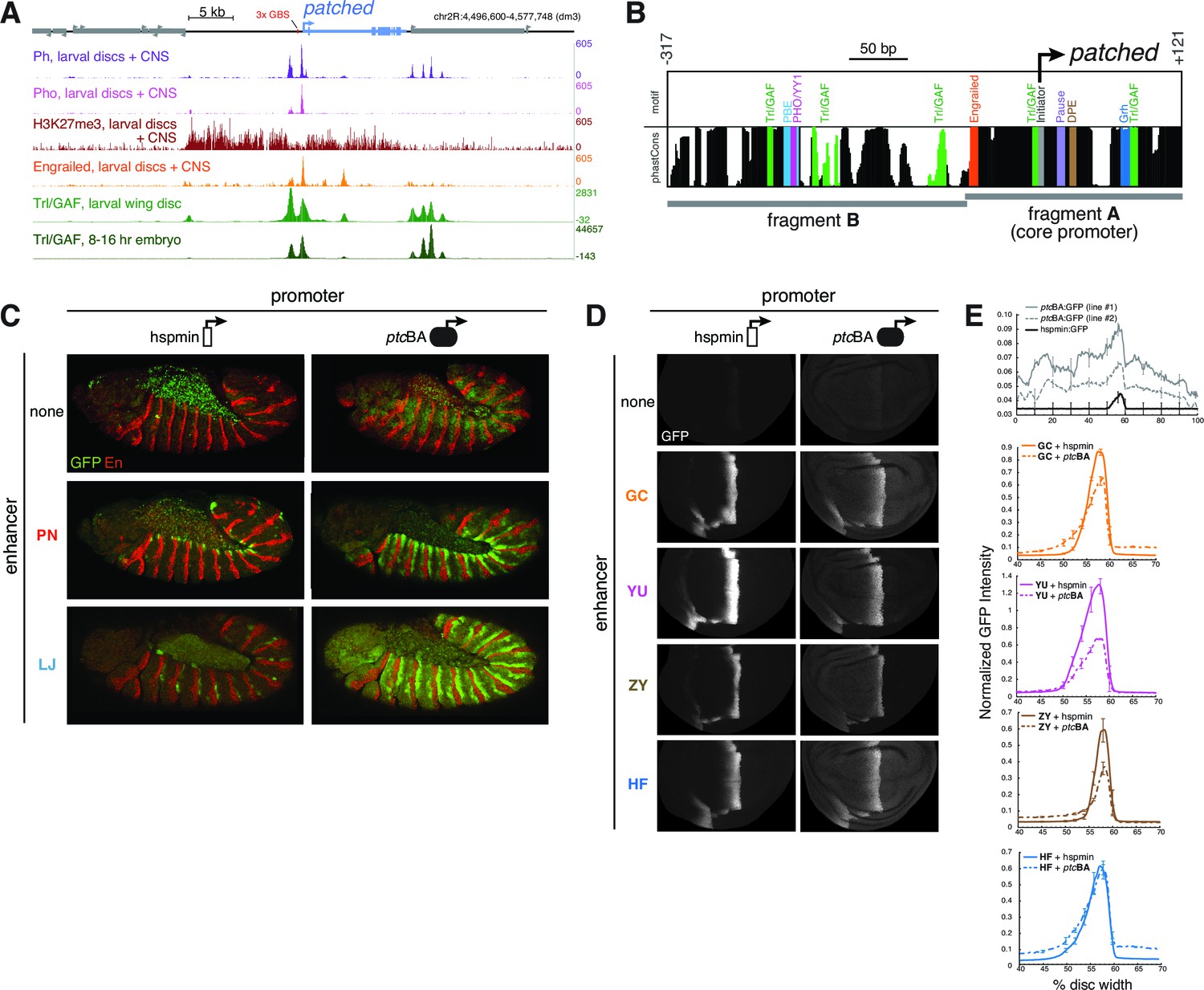 gro seq gro seq