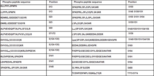 Figures and data in Arabidopsis heterotrimeric G proteins regulate ...