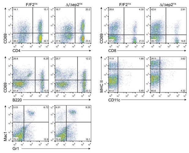 Figures And Data In Epidermal Raf Prevents Allergic Skin Disease 