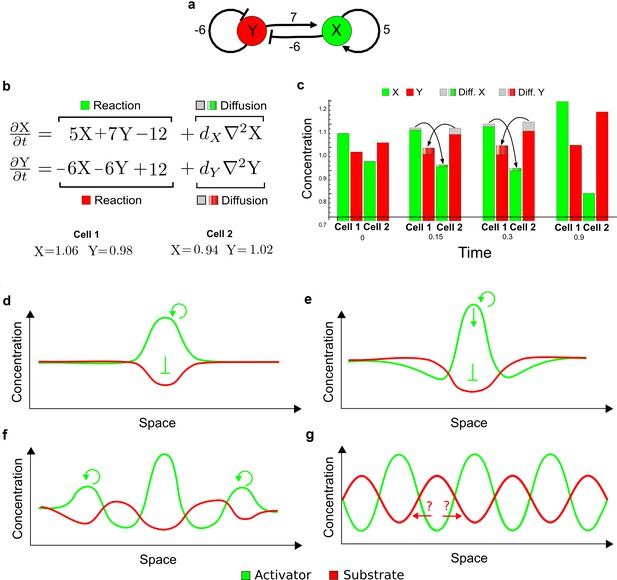 High-throughput Mathematical Analysis Identifies Turing Networks For ...