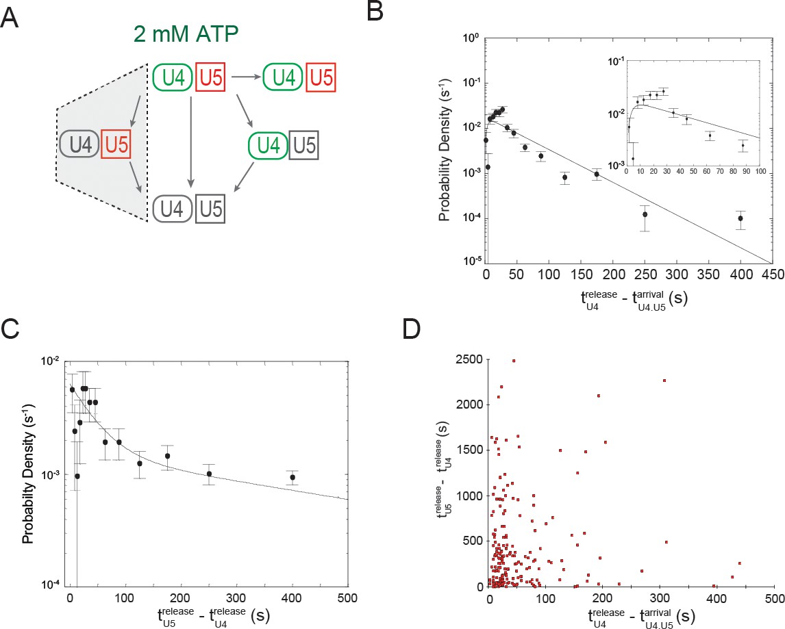 Figures and data in Single molecule analysis reveals reversible and ...